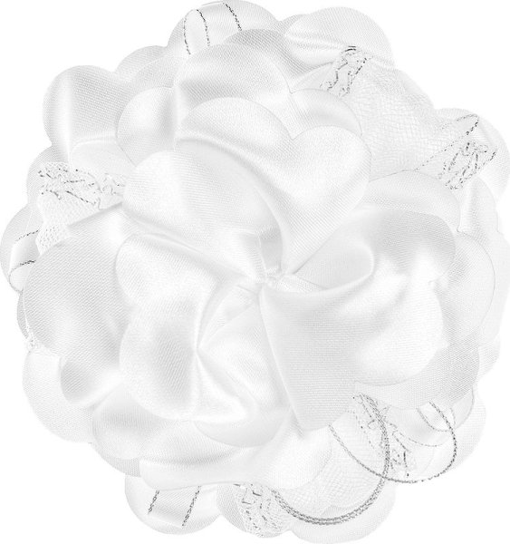 Школьные банты на прозрачном фоне