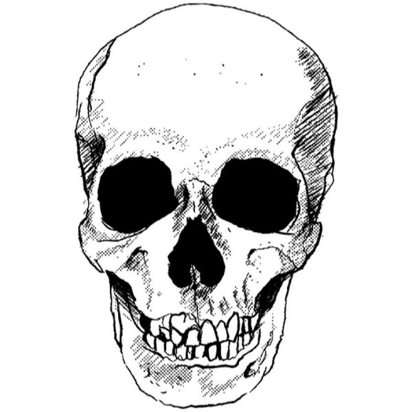 Белый череп