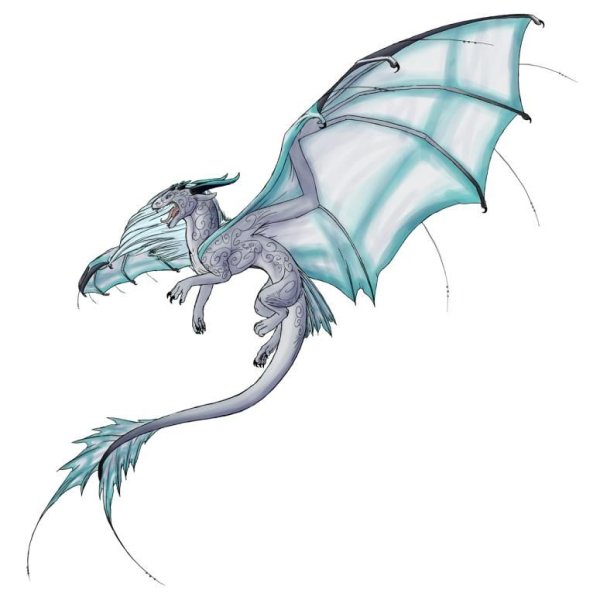 Дракоконы на белом фоне