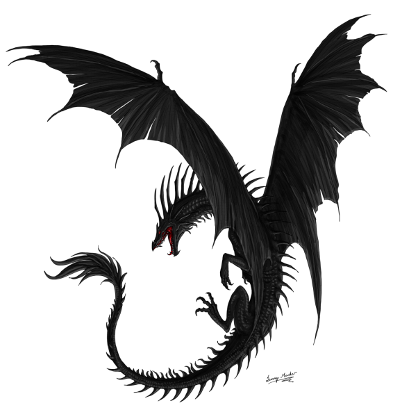 Дракон на белом фоне