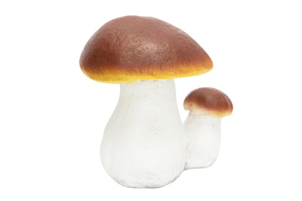 Гриб Боровик для детей