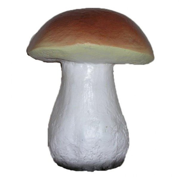 Гриб Боровик фп236