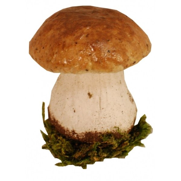 Белый гриб Боровик