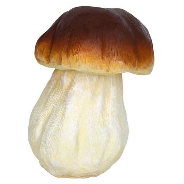 Боровик и белый гриб для детей