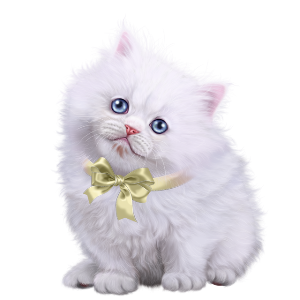 Белый котенок на прозрачном фоне