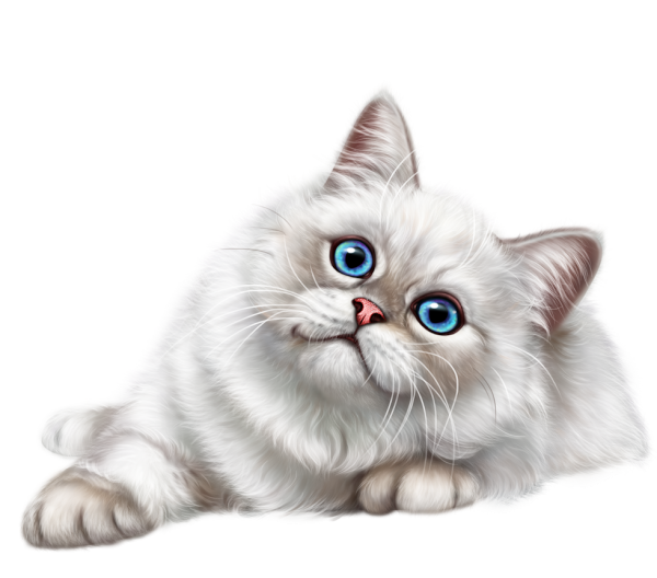 Картинка котика на прозрачном фоне