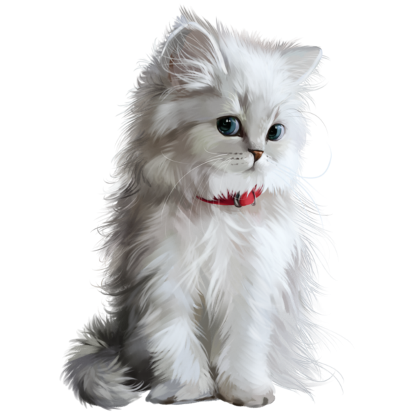 Котенок на белом фоне