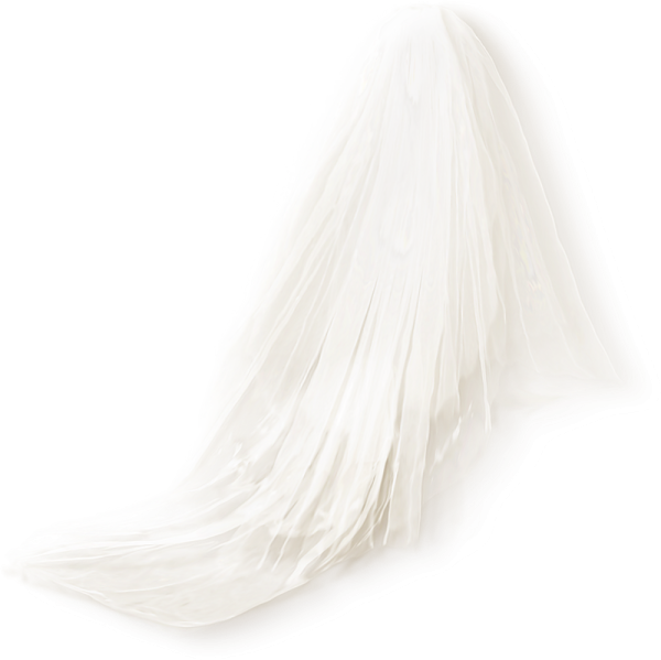 Прозрачная вуаль