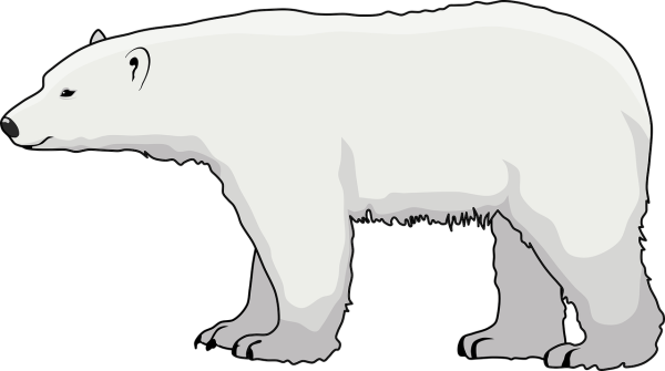 Арктика медведь вектор