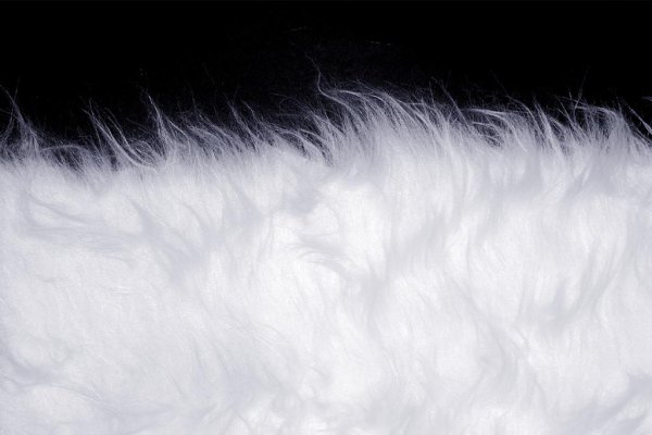 Белый мех на белом фоне