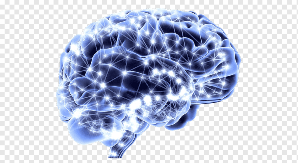 Прозрачный мозг