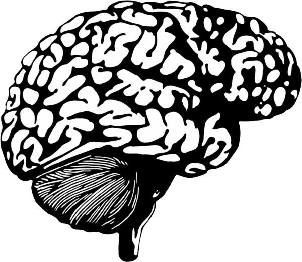 Мозг силуэт