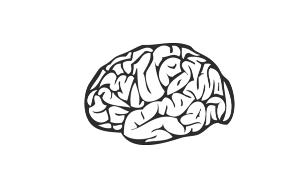 Мозг векторное изображение
