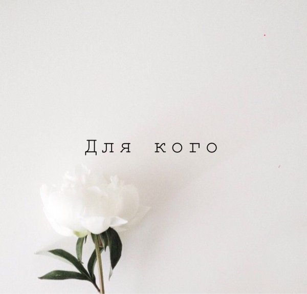 Растения Эстетика Минимализм