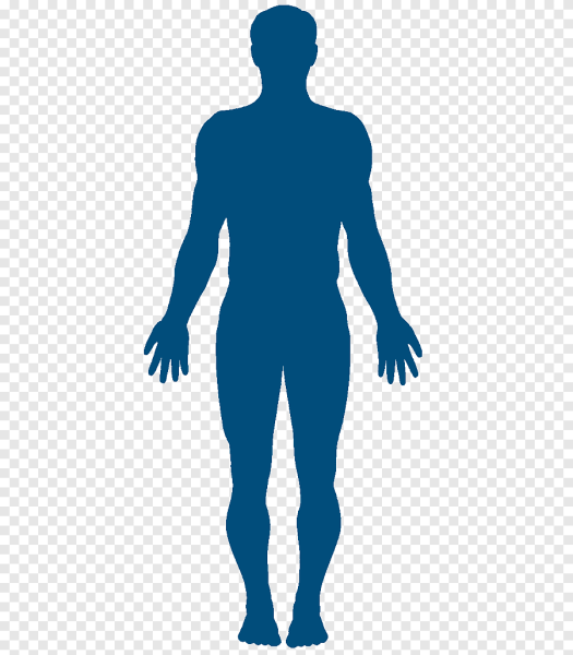 Очертание человека