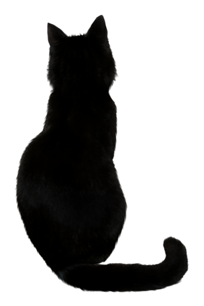 Белая крошка на черном фоне