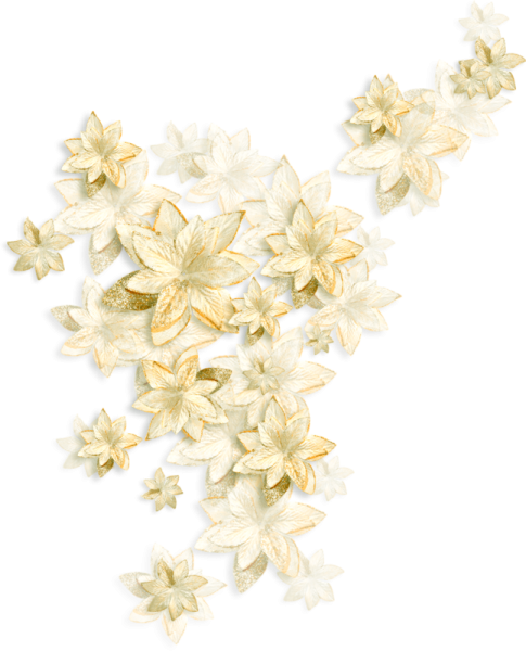 Прозрачные белые цветы