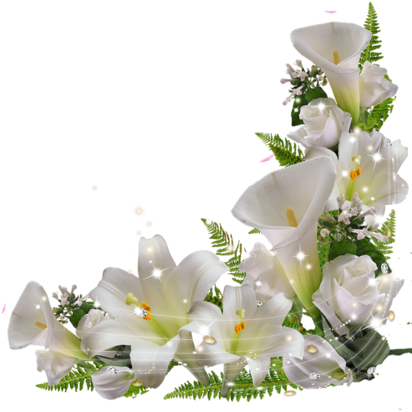 Клипарт цветы на прозрачном фоне