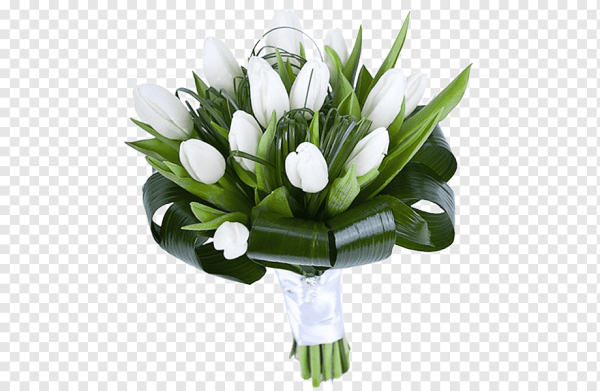 Белые тюльпаны