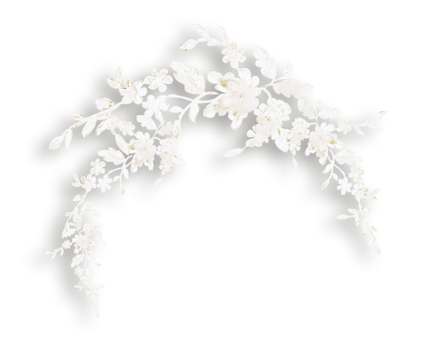 Белые цветы на прозрачном фоне