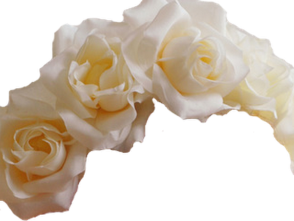 Венок из роз на белом фоне