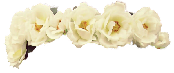 Венок из белых цветов на прозрачном фоне