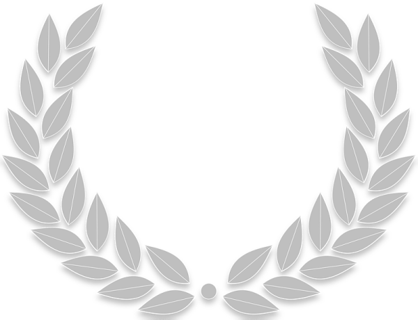 Лавровая ветвь на белом фоне