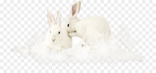 Зайчик на белом фоне