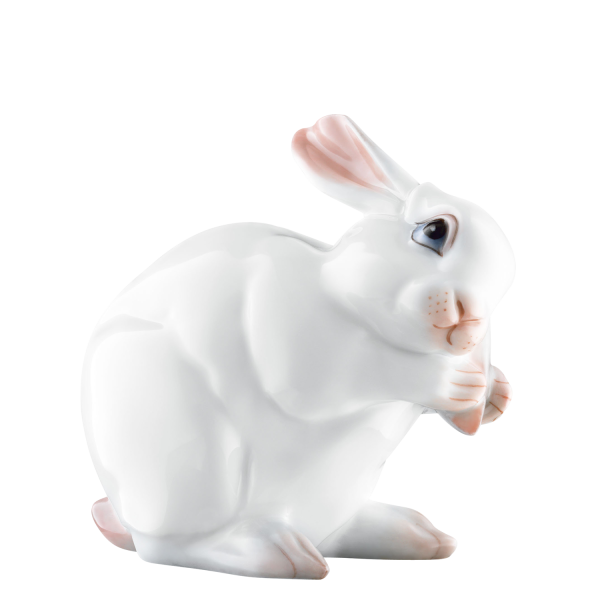 Зайка на белом фоне