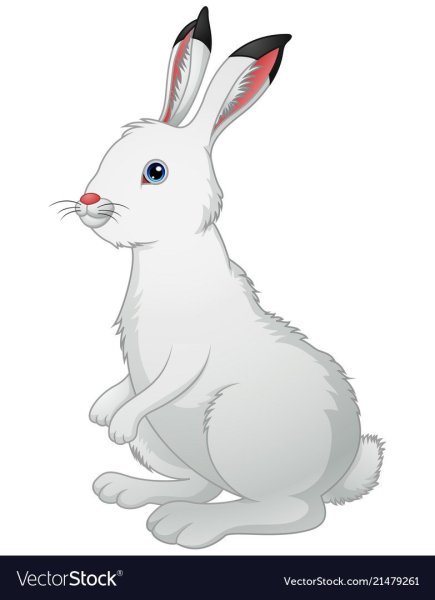 Заяц Беляк мультяшный