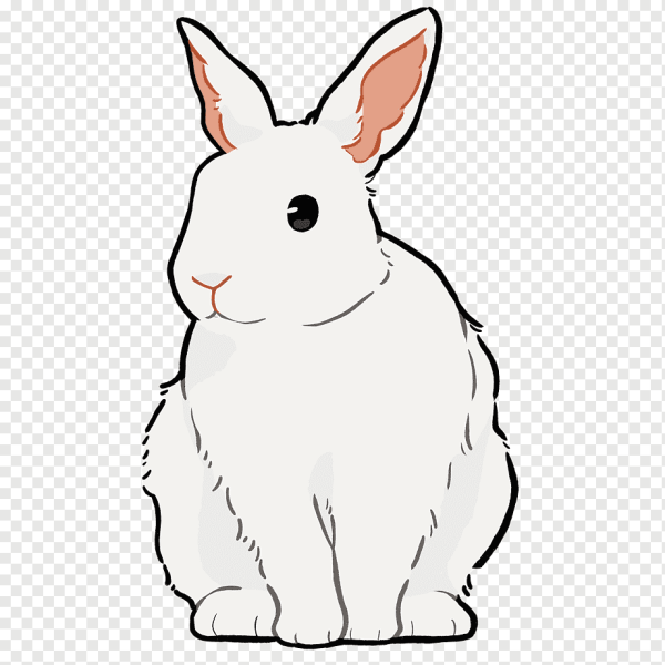 Белый зайчик