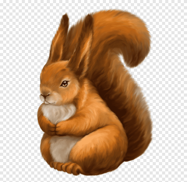 Бельчонок на белом фоне