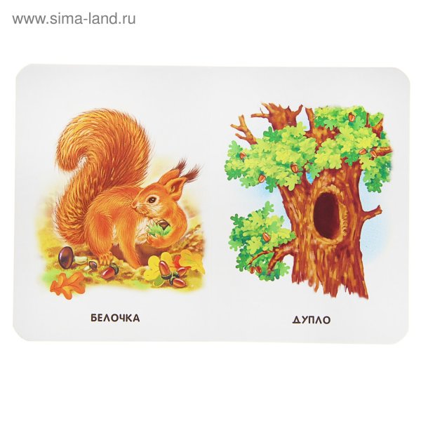 Белка в дупле для детей