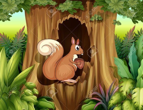 Белочка в дупле рисунок