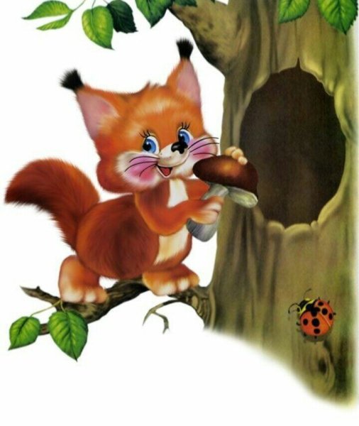 Белочка с грибочком
