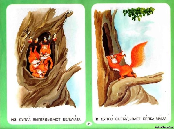 Белочка в дупле рисунок