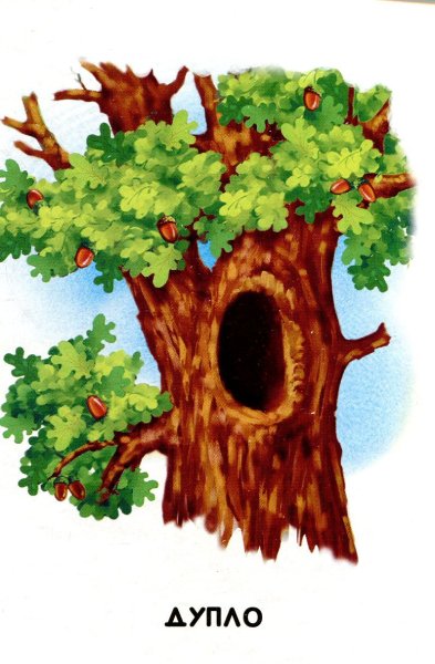 Дерево с дуплом