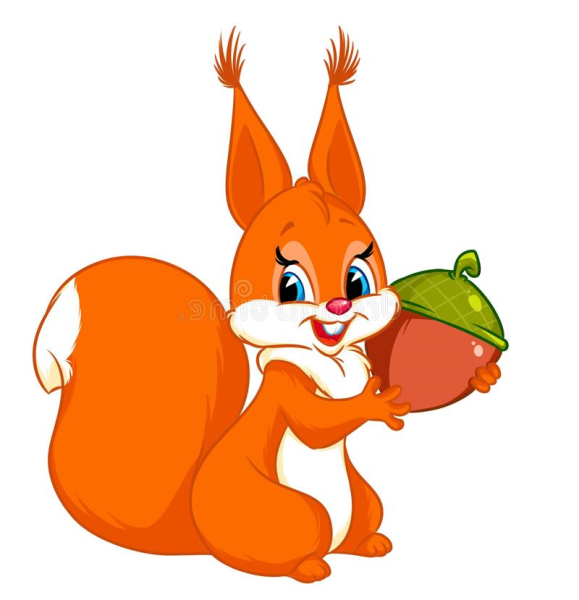 Белочка на белом фоне для детей
