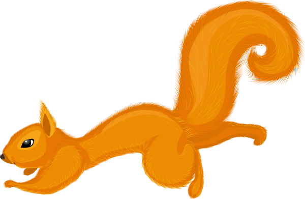 Белка картинка на прозрачном фоне