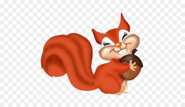 Белка клипарт