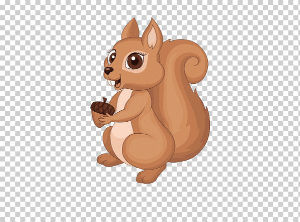 Белочка рисунок