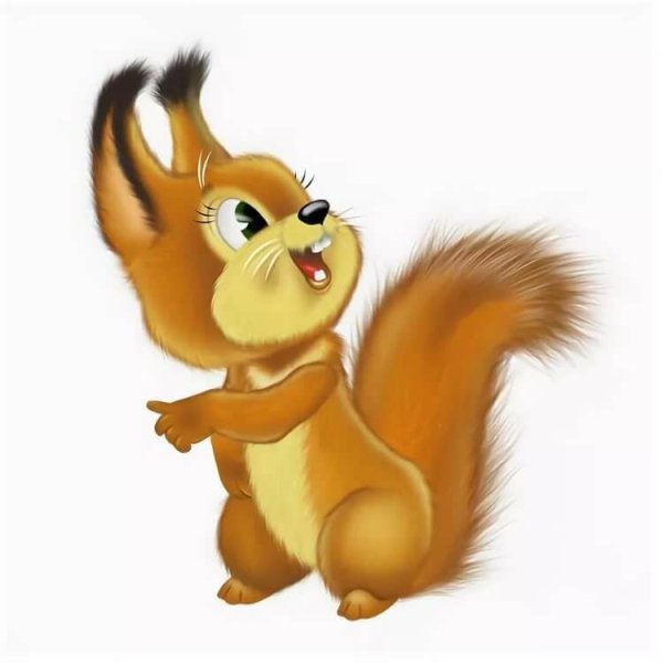 Белка на белом фоне