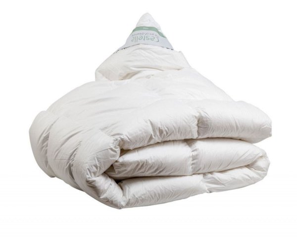 Прозрачное одеяло