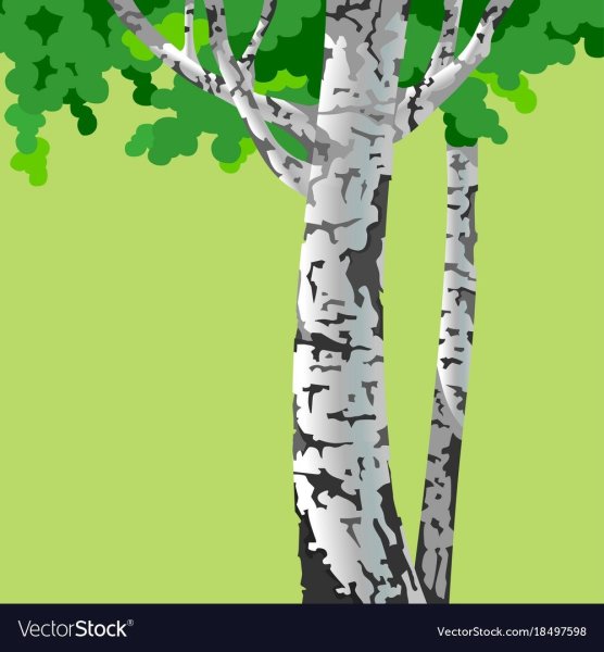 Аппликация береза