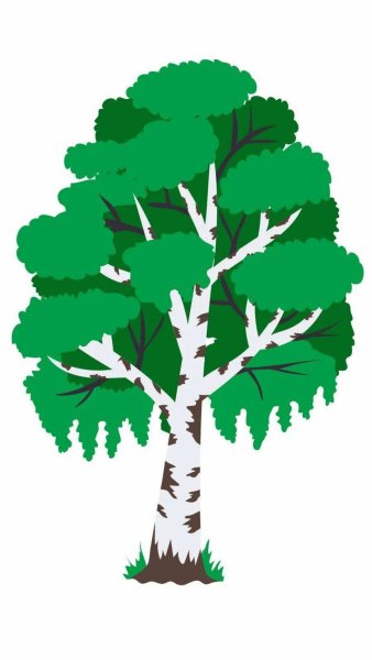 Березка мультяшная