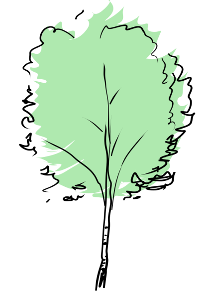 Березы мультяшные