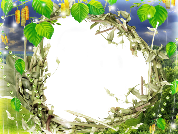 Фоторамка "береза"