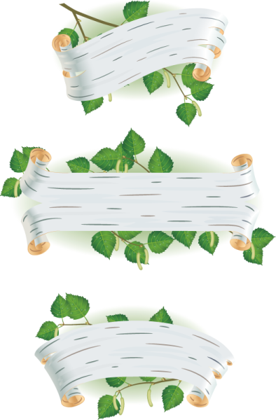 Фон для группы Березка