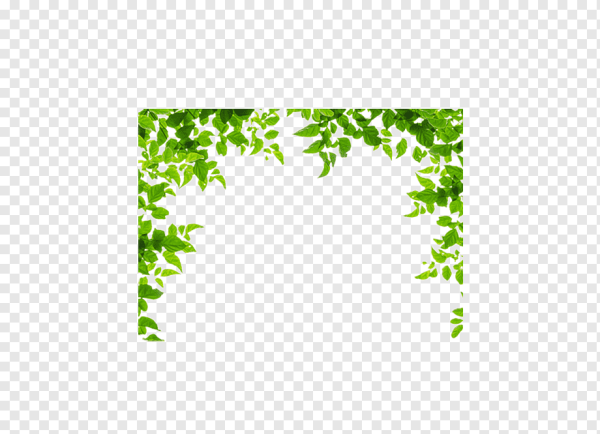 Рамка из зелени