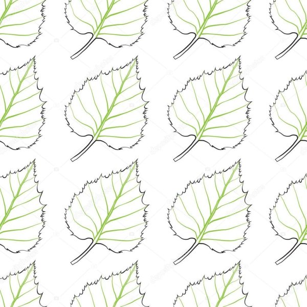 Лист березы трафарет для вырезания